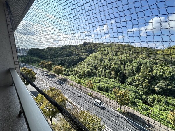 室内からの展望