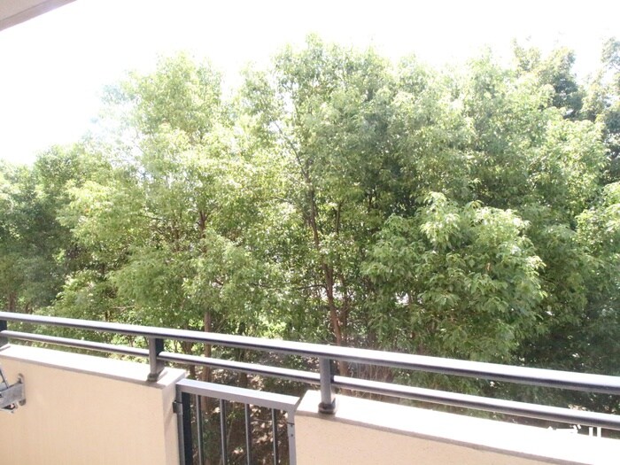 物件内観写真16　(室内からの展望)