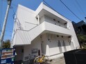 ココナッツ姪浜
