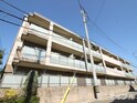 アルヴィ－タ