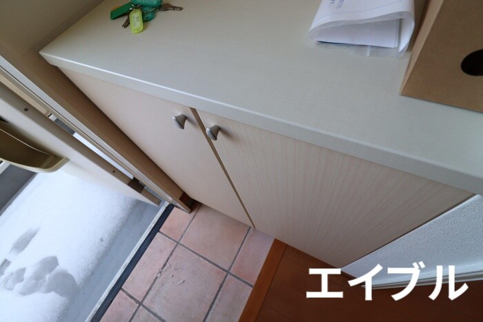 物件内観写真13　(玄関)