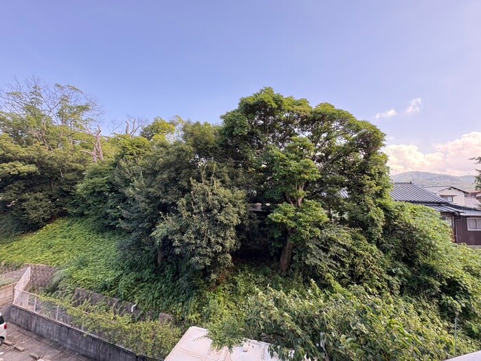 物件内観写真16　(室内からの展望)