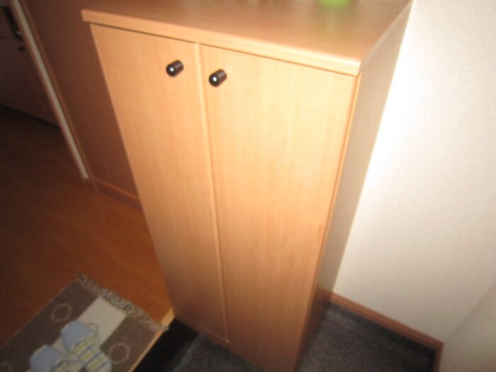 物件内観写真7　(玄関)