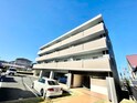 アムール瀬板の森