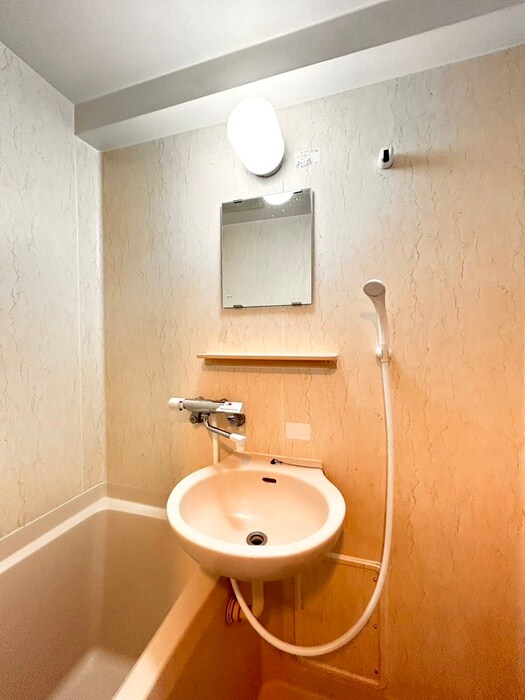 物件内観写真9　(洗面)