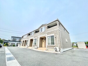 アデニウム錦水外観写真
