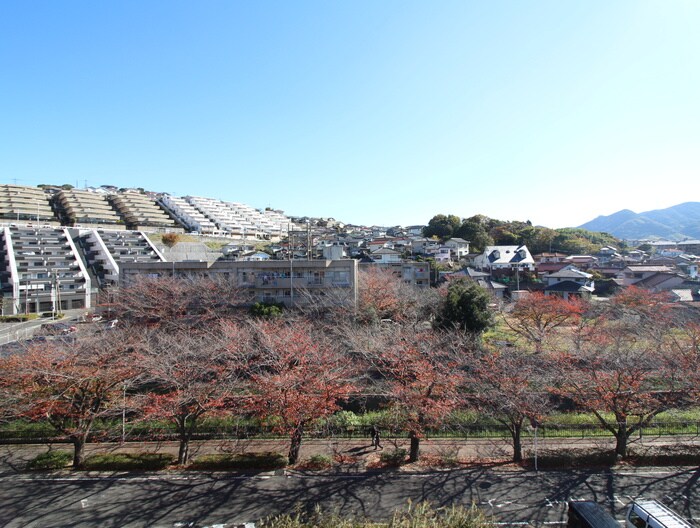 物件内観写真16　(室内からの展望)