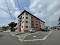 マストミマンション