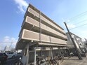 メイト天拝