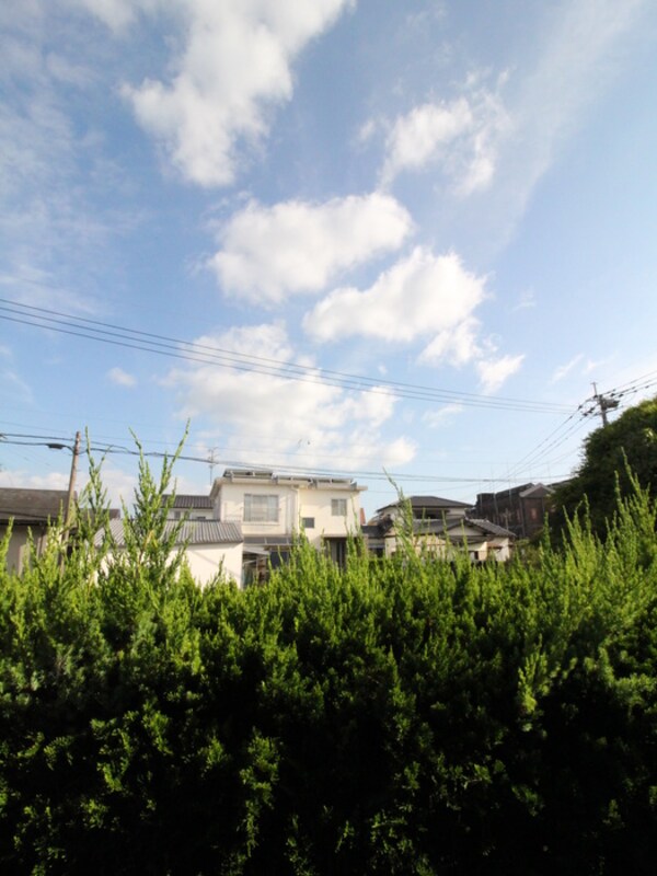 室内からの展望