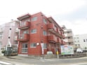 ﾊﾟｼﾌｨｯｸｸﾞﾗﾝｼｬｲﾝ南片江
