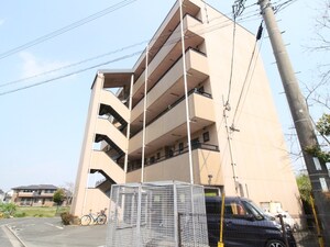 ワンピース外観写真