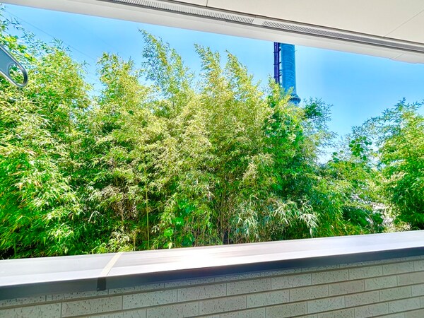 室内からの展望