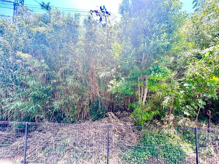 物件内観写真14　(室内からの展望)