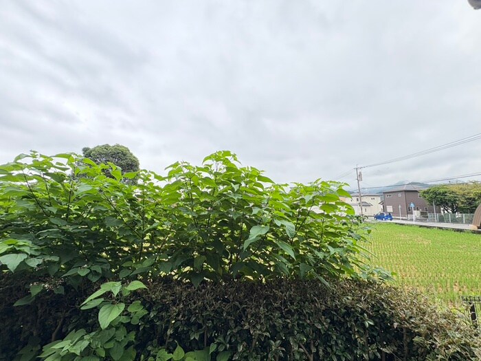 物件内観写真17　(室内からの展望)