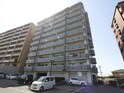 サンシャイン５０