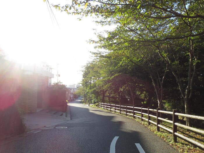 物件外観写真4　(周辺環境)