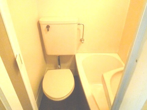 シャトレ黄金のトイレ