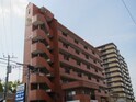 インポート久留米ルビーⅢ