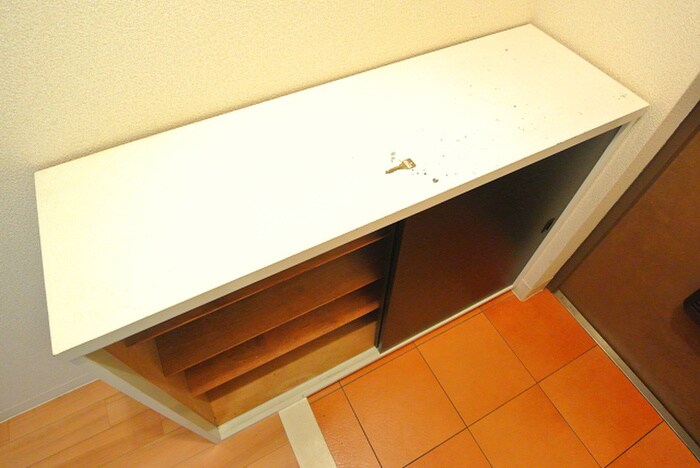 物件内観写真10　(靴箱)