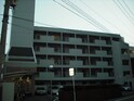 ニュ－ハイツ城西(501)