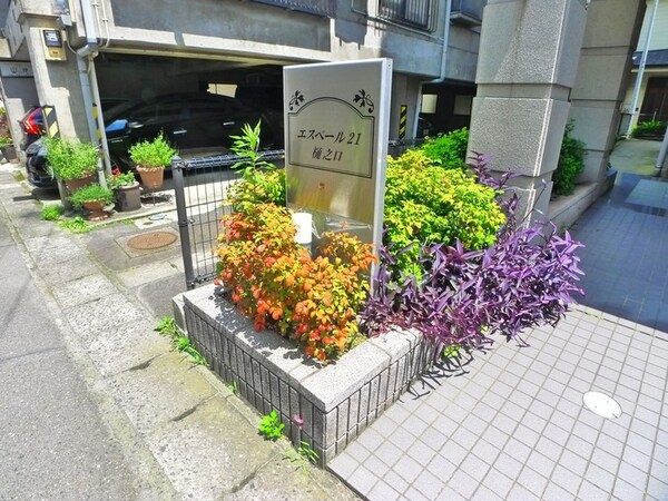 エントランス部分