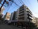 グランドメゾン藤崎(707)