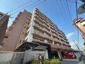 グラーツィア畠中