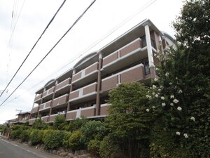 ハイツ千里台Ⅲ　Ａ棟桜館外観写真