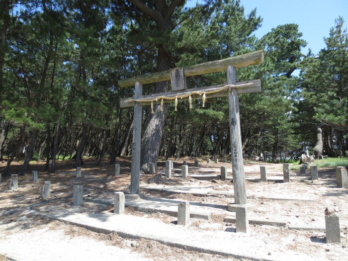 物件内観写真9　(周辺環境)