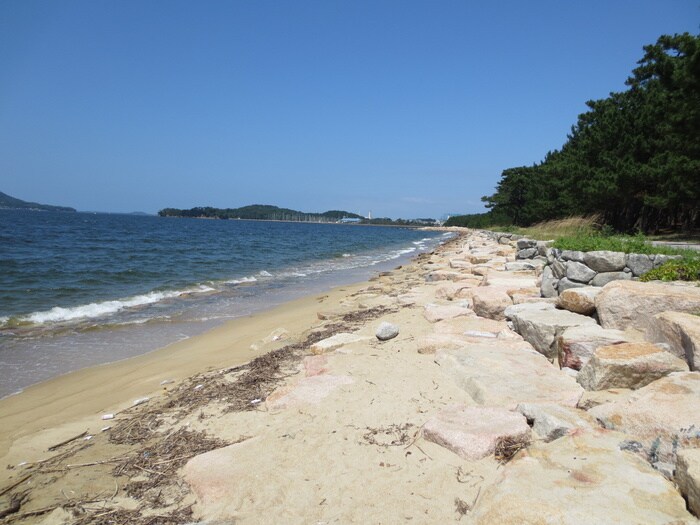 物件内観写真10　(周辺環境)