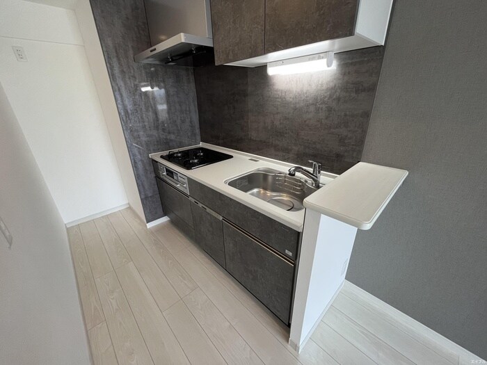 物件内観写真10　(キッチン)