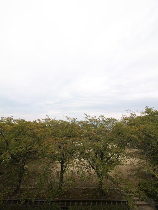 物件内観写真11　(室内からの展望)