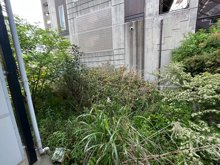 物件内観写真11　(室内からの展望)