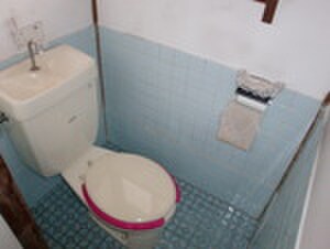 物件内観写真9　(トイレ)