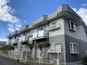 ハイムかすみ草