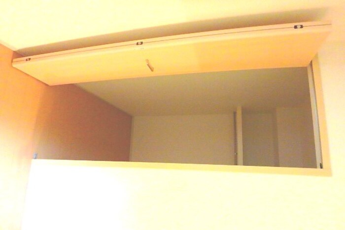 物件内観写真11　(収納)