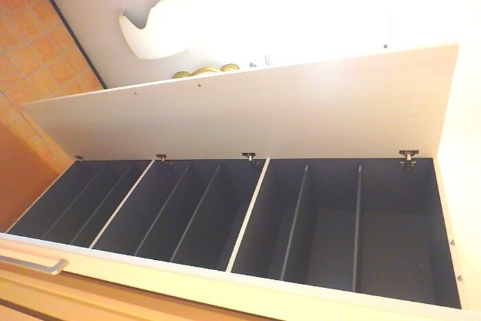 物件内観写真19　(靴箱)