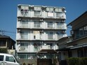 シャトレ金鶏Ⅱ