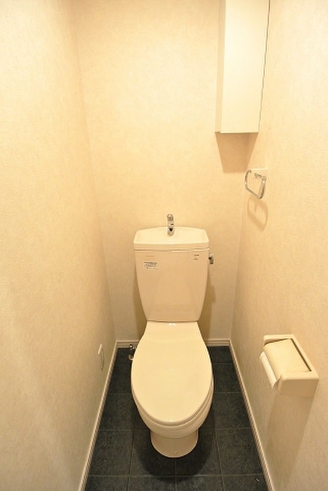 物件内観写真8　(トイレ)