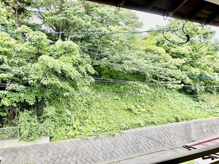 物件内観写真19　(室内からの展望)