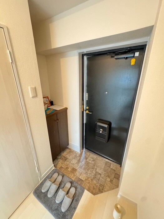 物件内観写真9　(玄関)