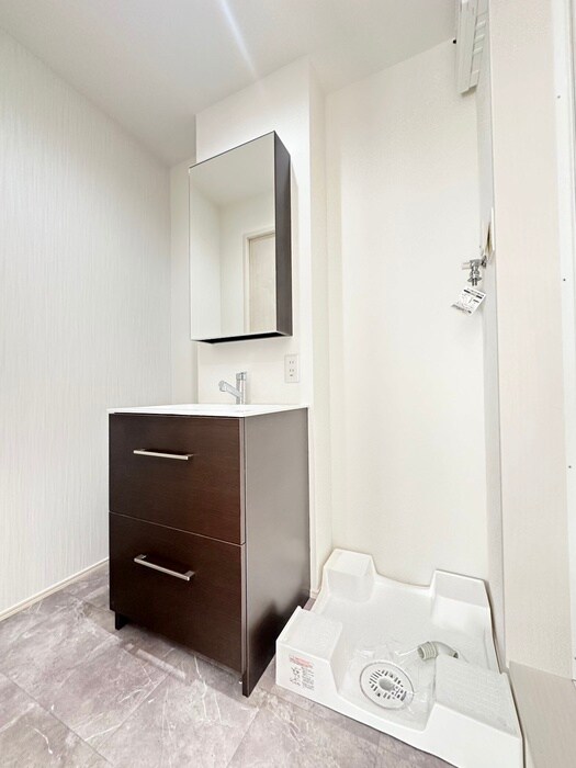 物件内観写真9　(洗面)