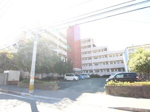 第１光ヶ丘ハイツ外観写真
