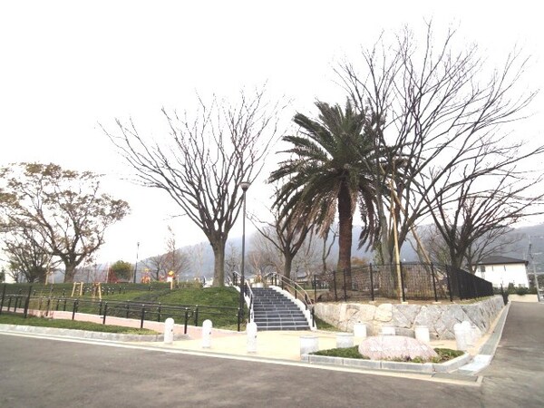 周辺環境