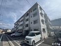 ディナスティ