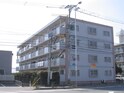 サウスベリ－８８