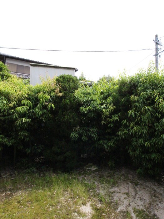 物件内観写真11　(室内からの展望)