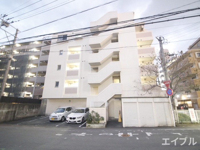 ﾎﾞﾇｰﾙ下大利