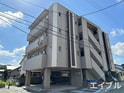 CLEO石坪